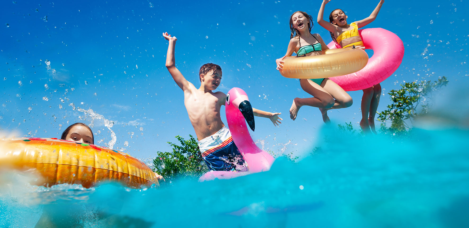 Nullam et ligula quis orci commodo consequat